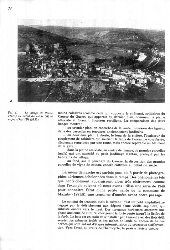 Página de muestra