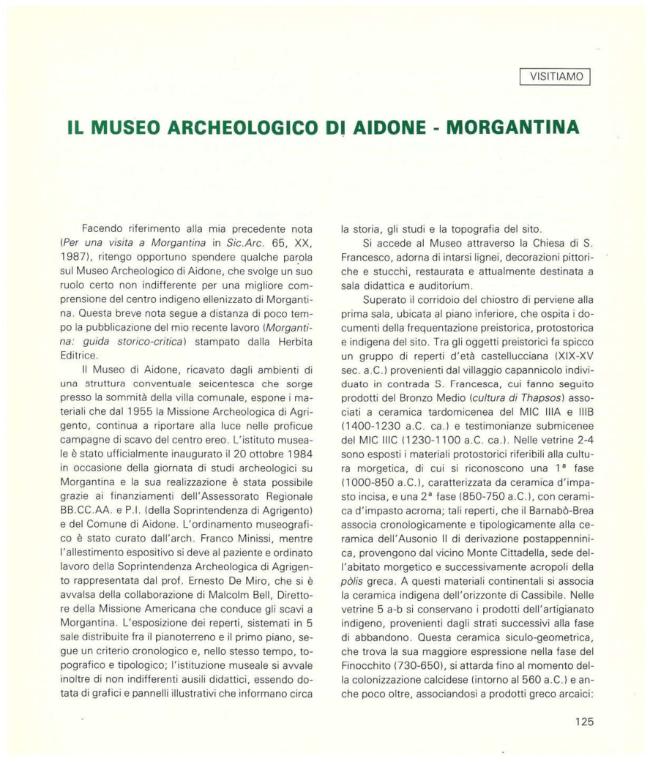 Pagina campione