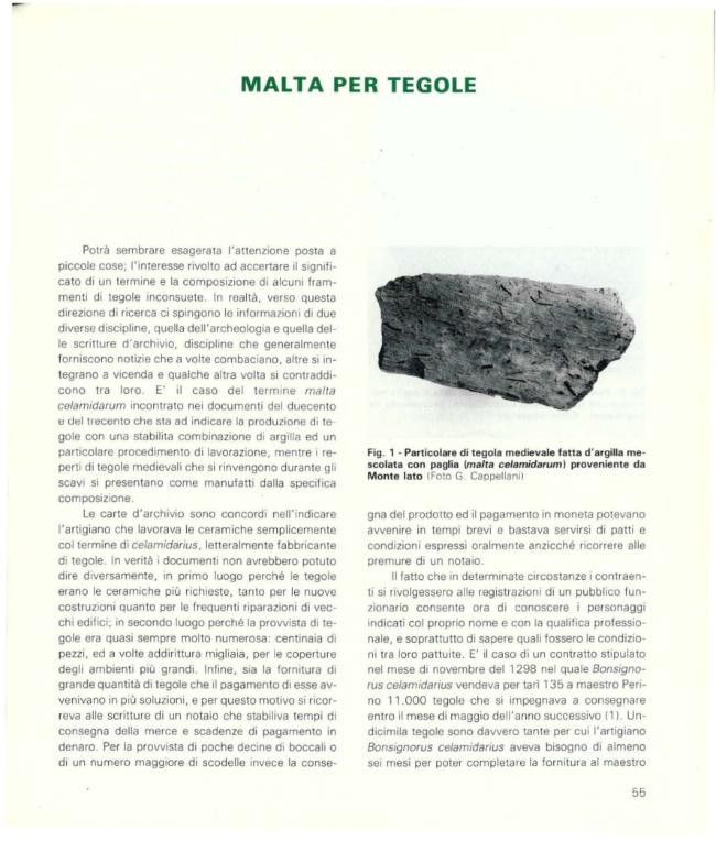 Pagina campione