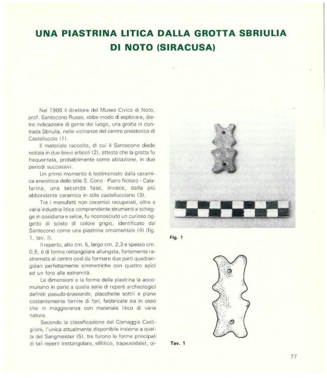 Pagina campione