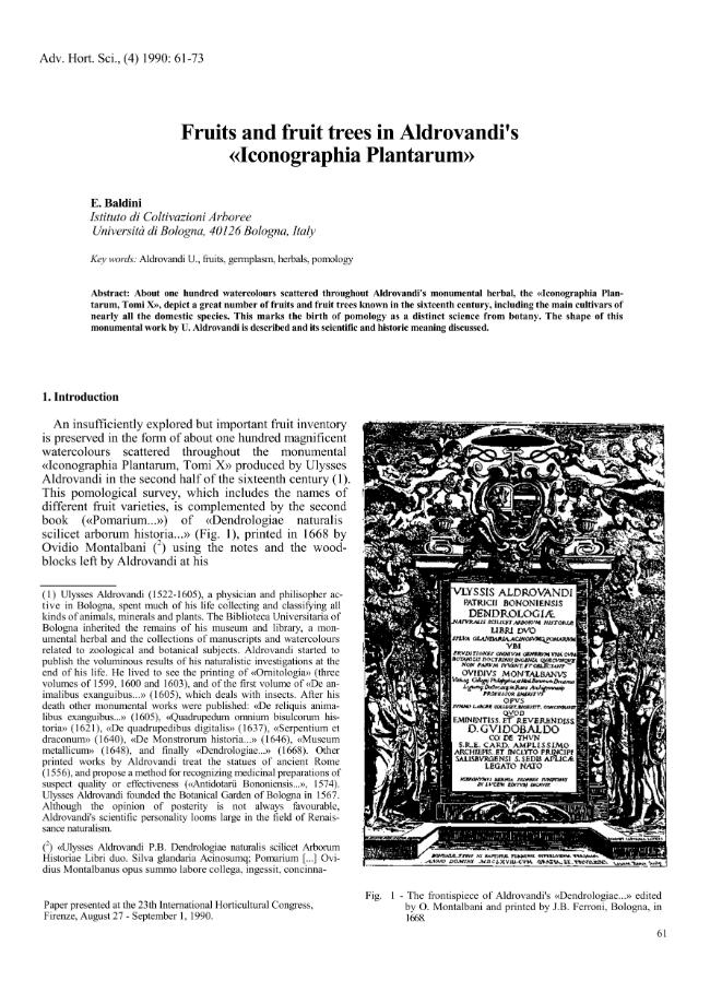 Pagina campione