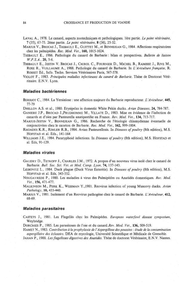 Probeseite