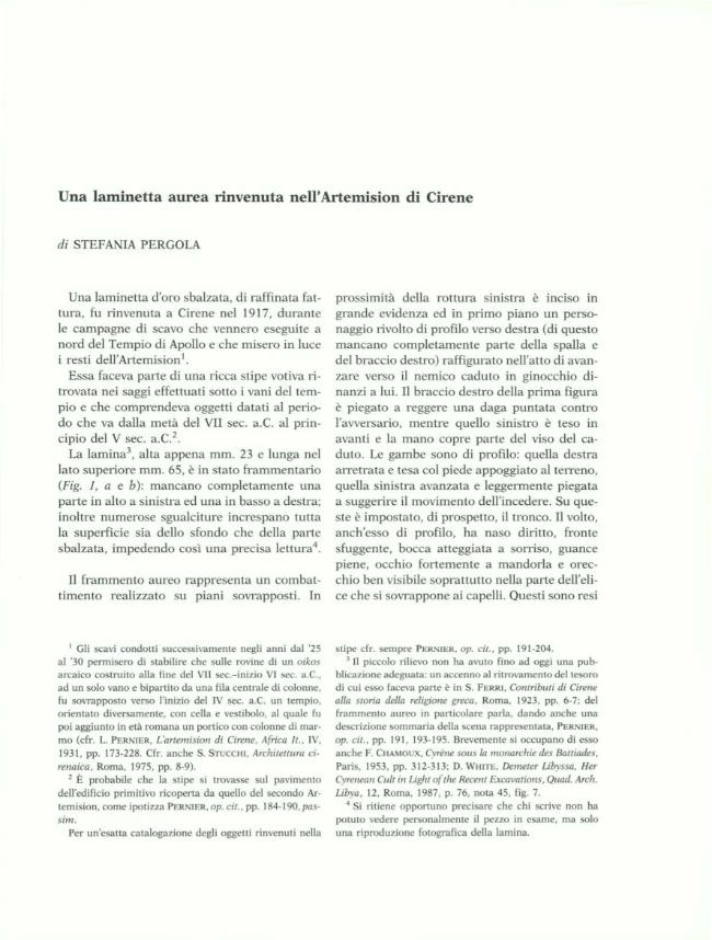 Pagina campione
