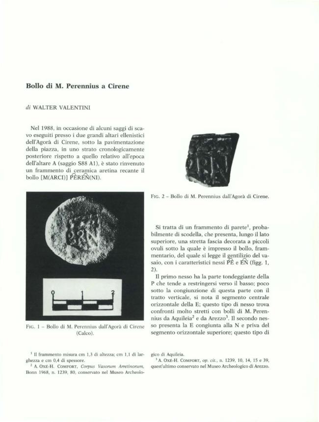 Pagina campione