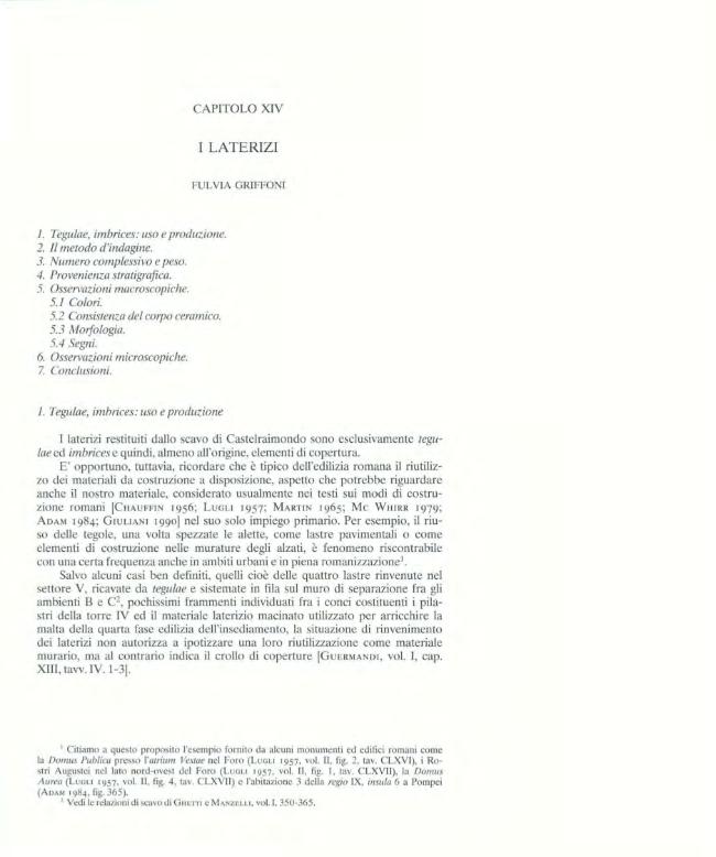 Pagina campione