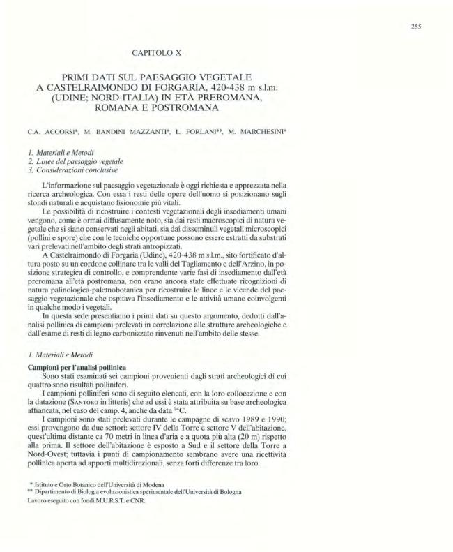 Pagina campione