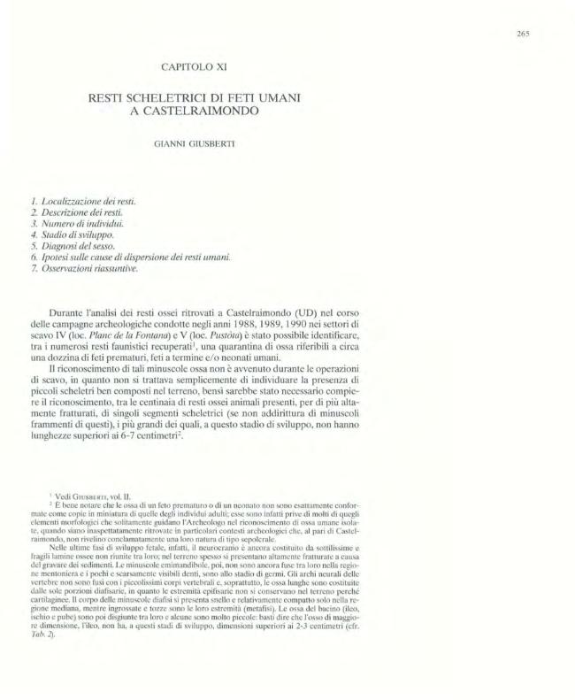 Pagina campione