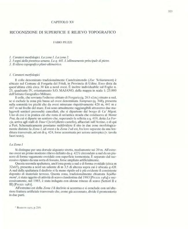 Pagina campione