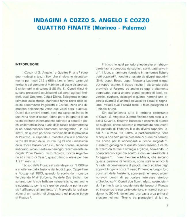 Pagina campione