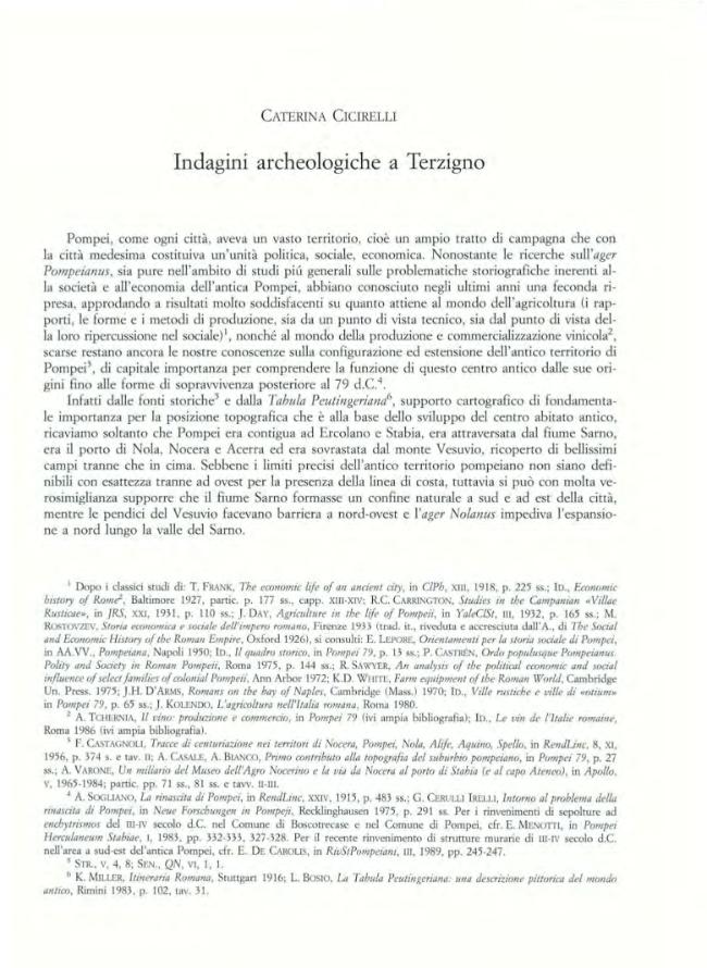 Pagina campione