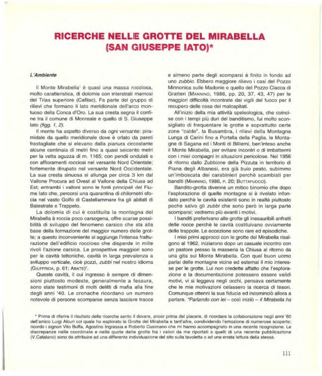 Pagina campione