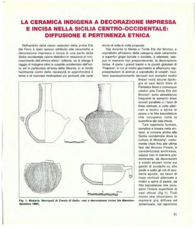 Pagina campione