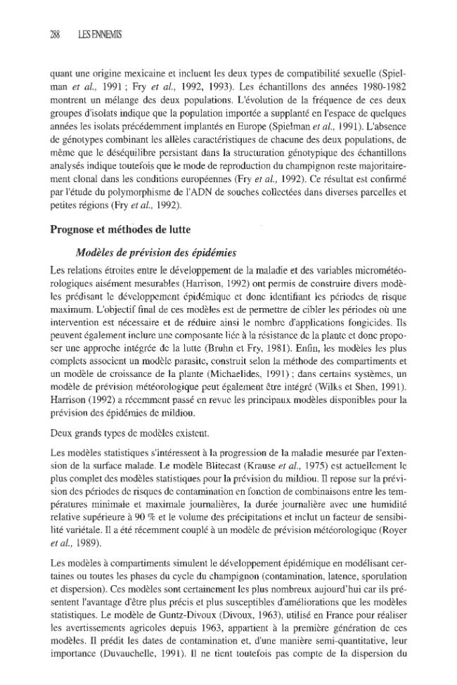 Página de muestra