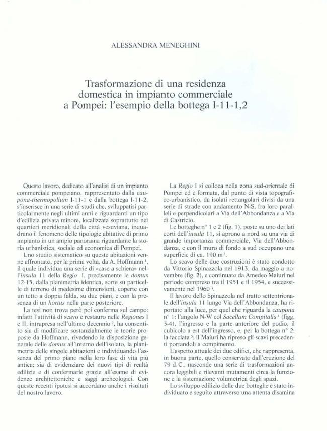 Pagina campione