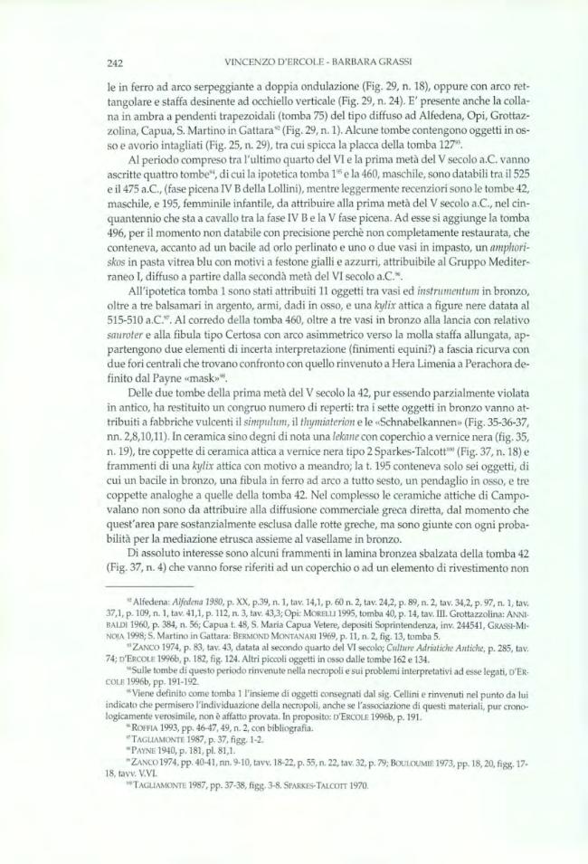 Pagina campione