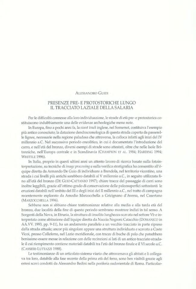 Pagina campione