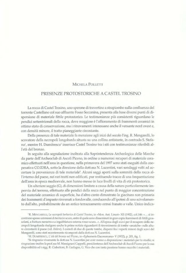 Pagina campione