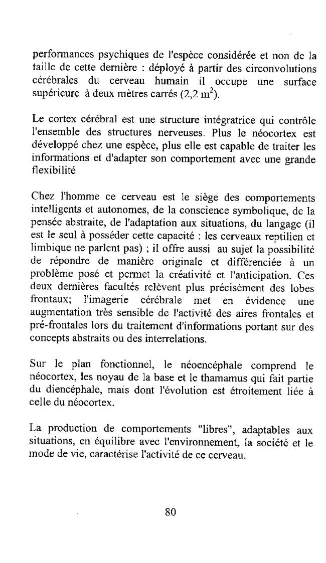 Probeseite