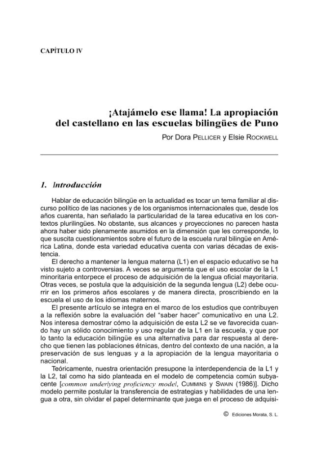 Pagina campione