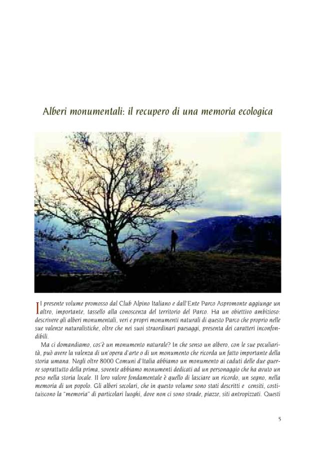 Pagina campione