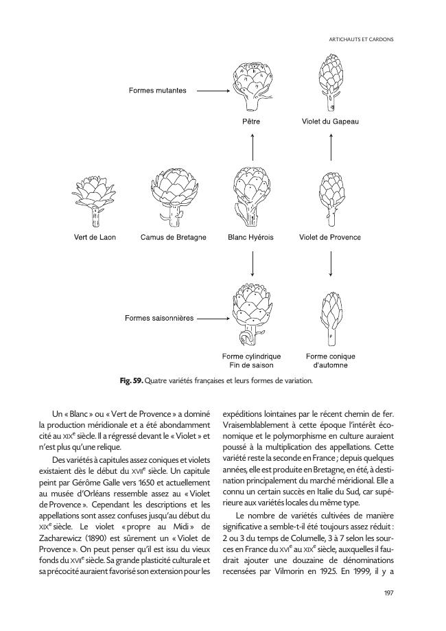 Exemple de page