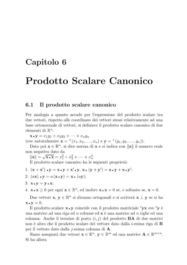 Pagina campione