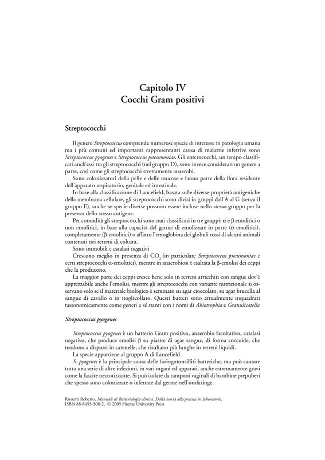 Pagina campione