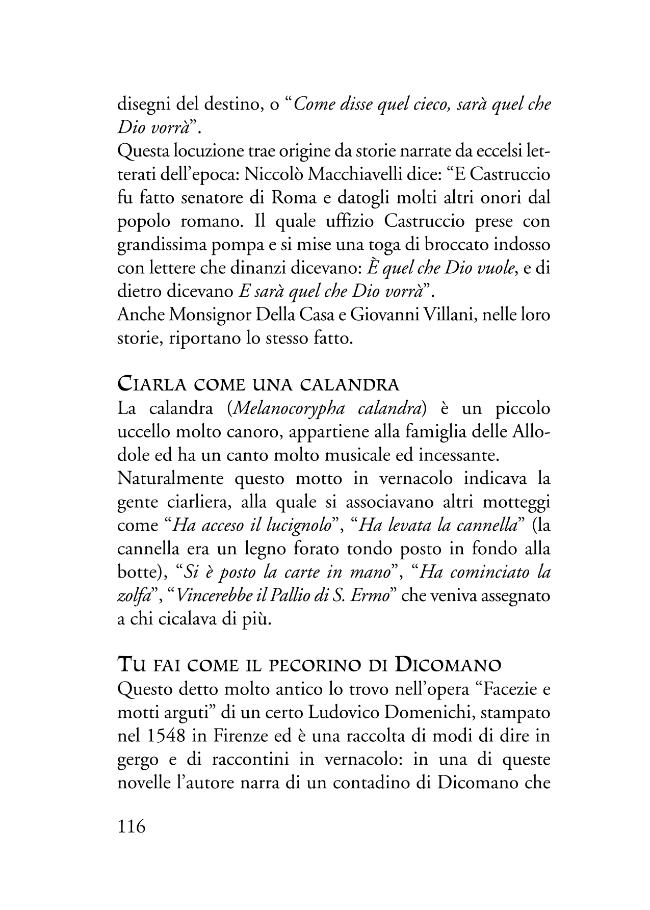 Pagina campione