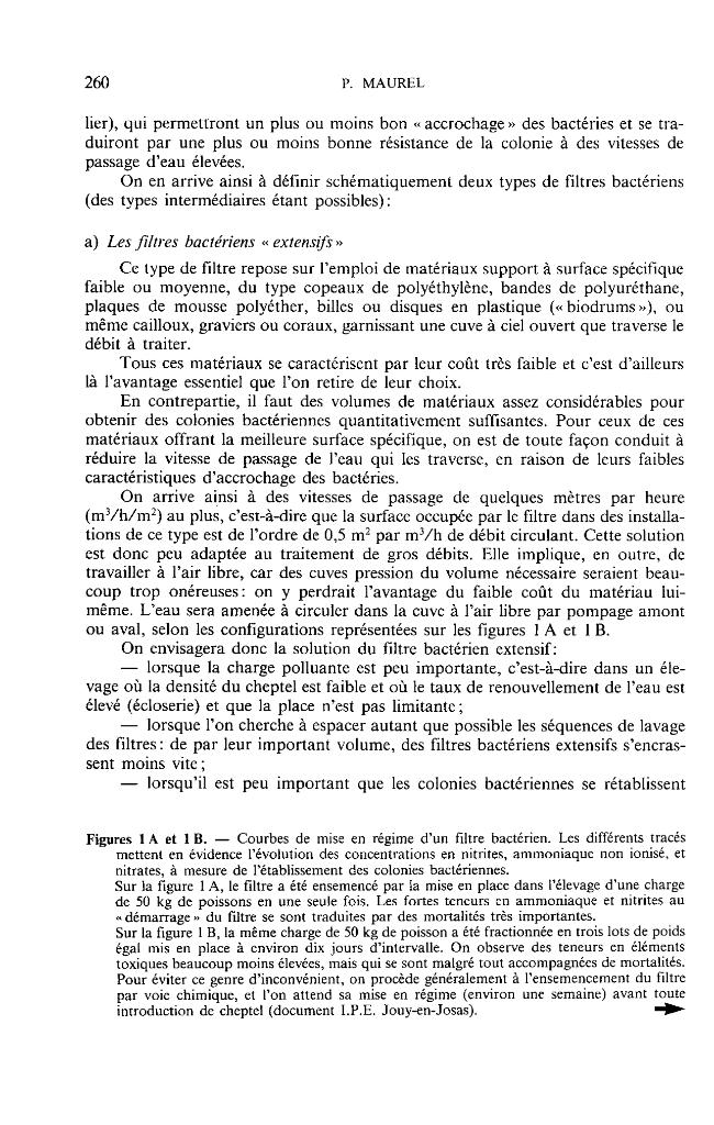 Probeseite