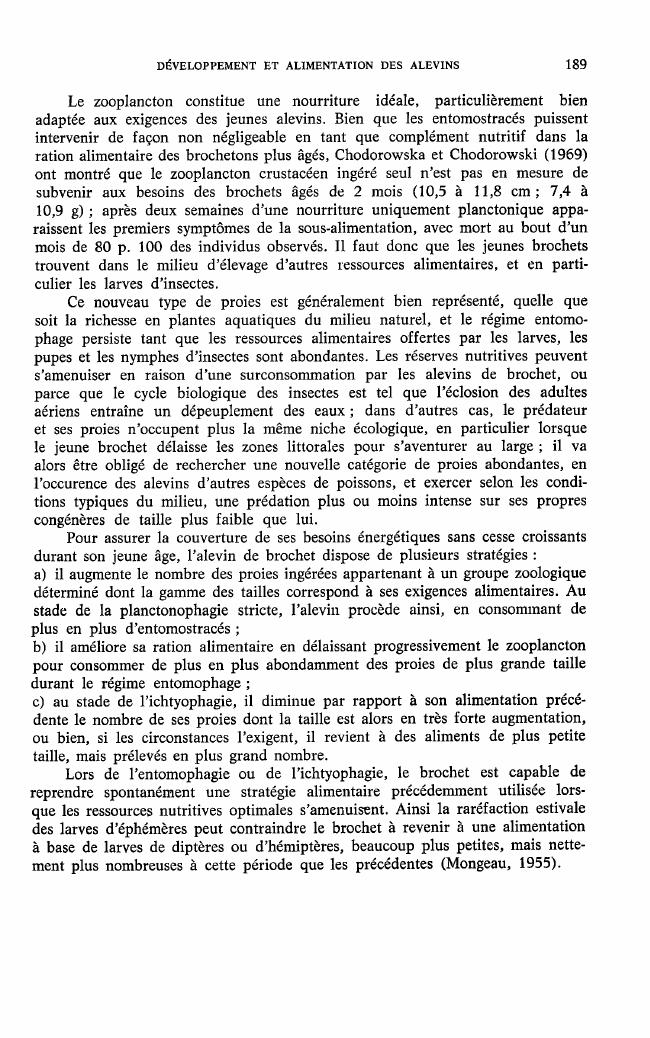 Probeseite
