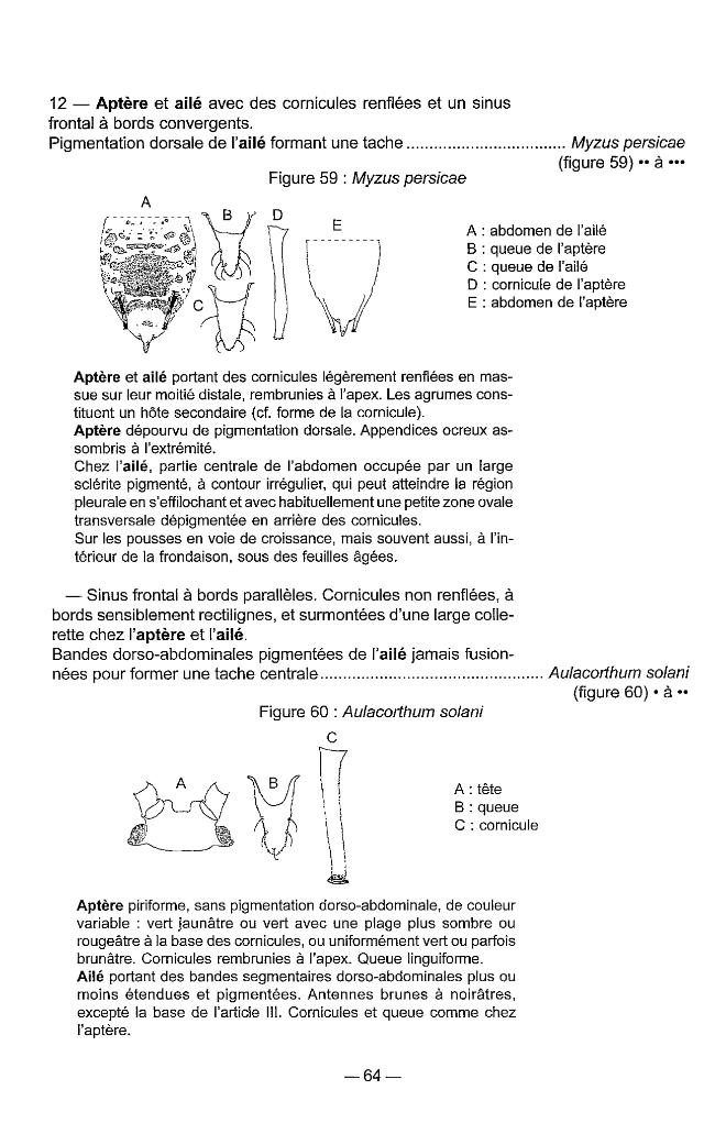 Probeseite