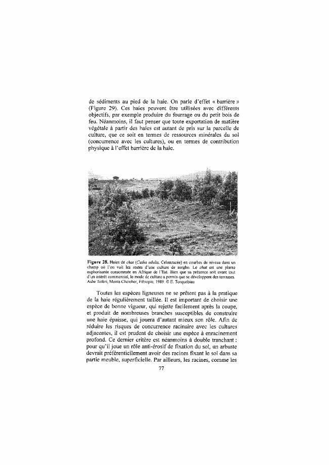 Probeseite