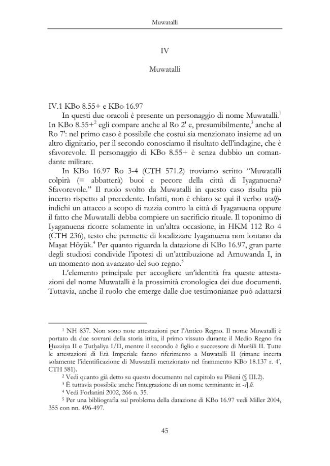 Pagina campione