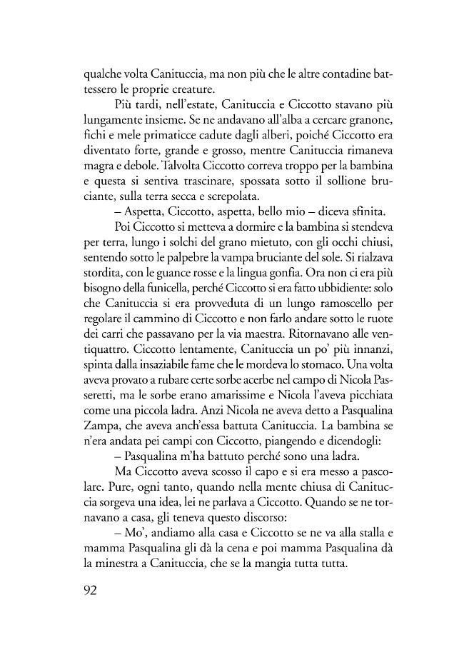 Pagina campione