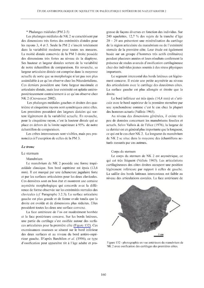 Página de muestra