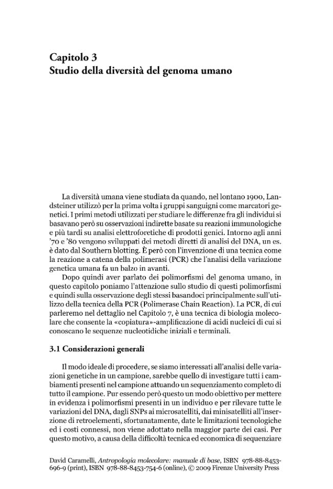 Pagina campione