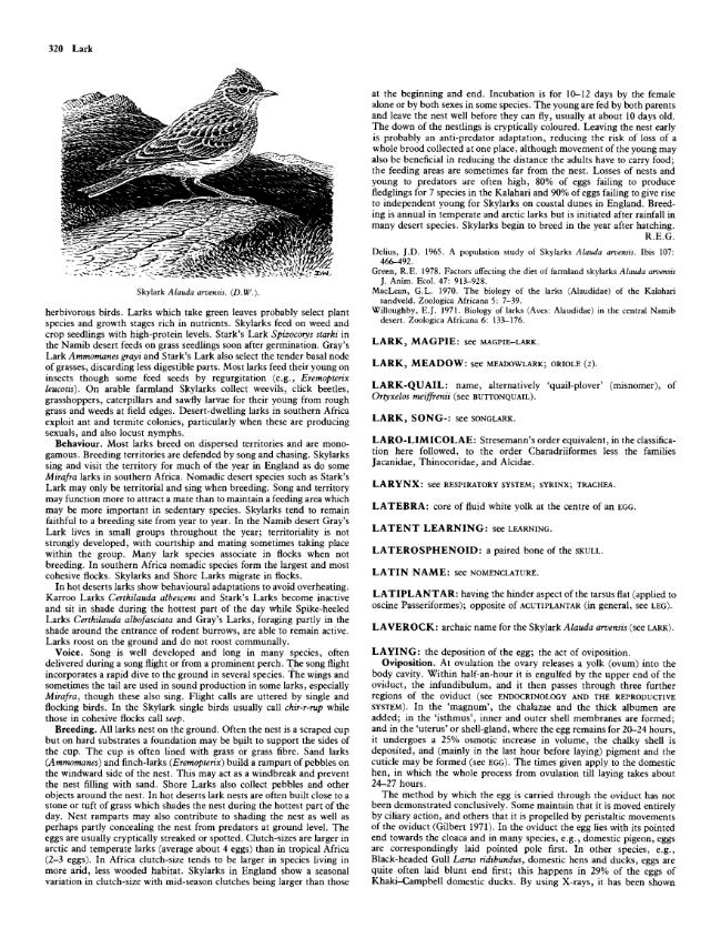 Sample page