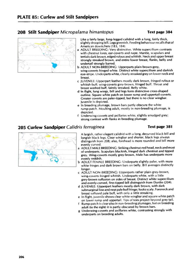 Exemple de page