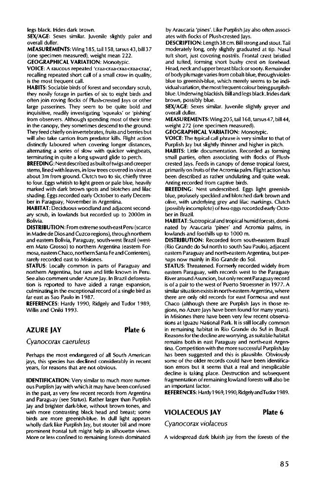 Exemple de page