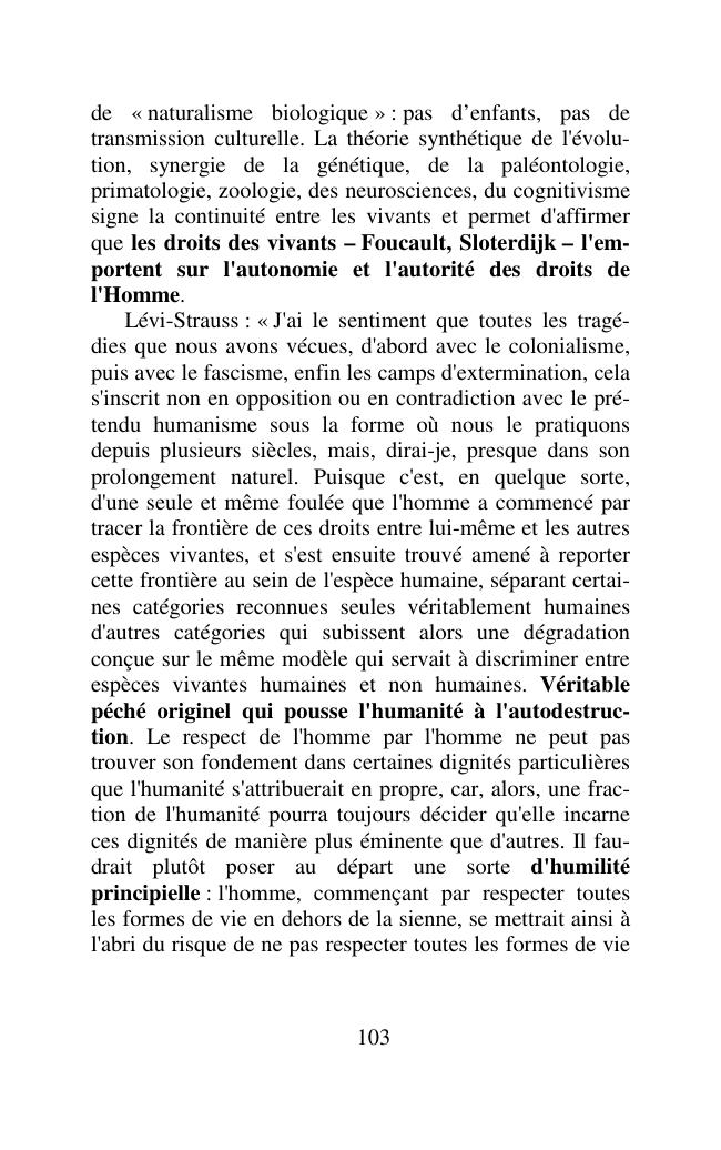 Pagina campione