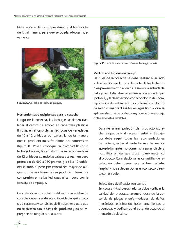 Página de muestra