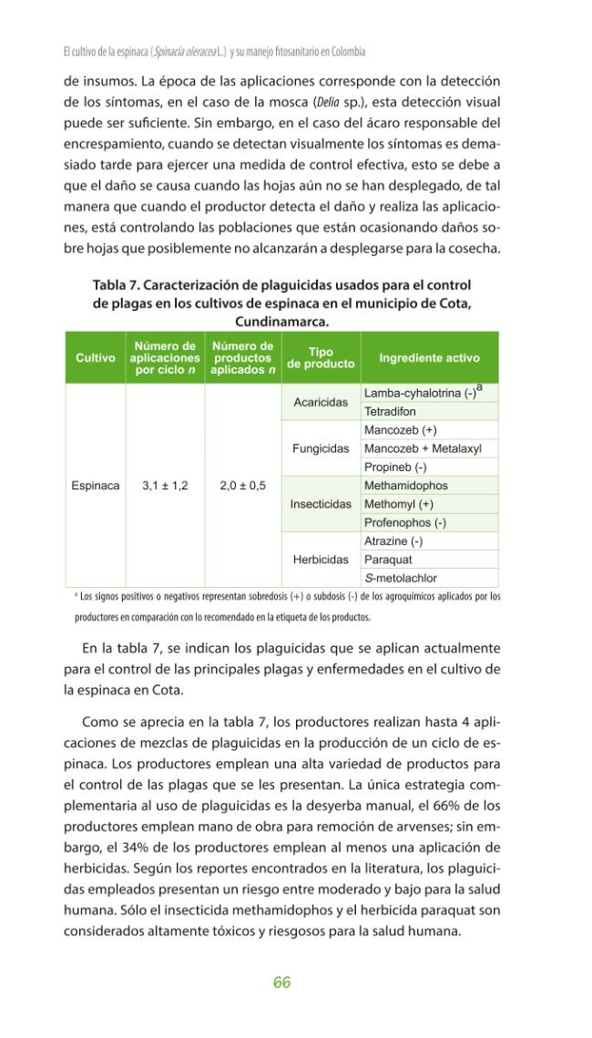 Página de muestra