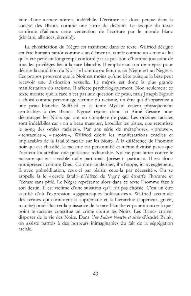 Pagina campione
