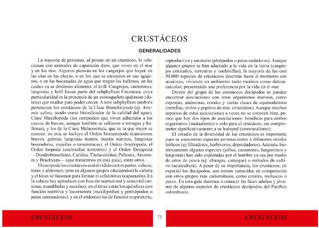 Página de muestra