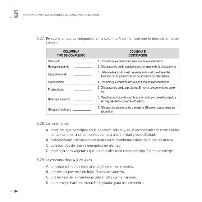 Página de muestra