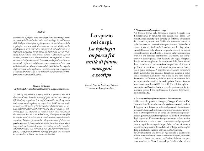 Pagina campione