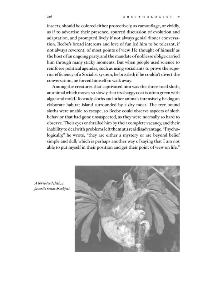 Exemple de page