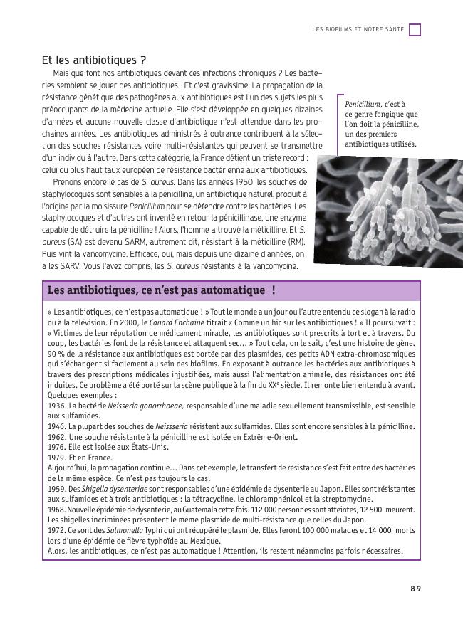 Probeseite