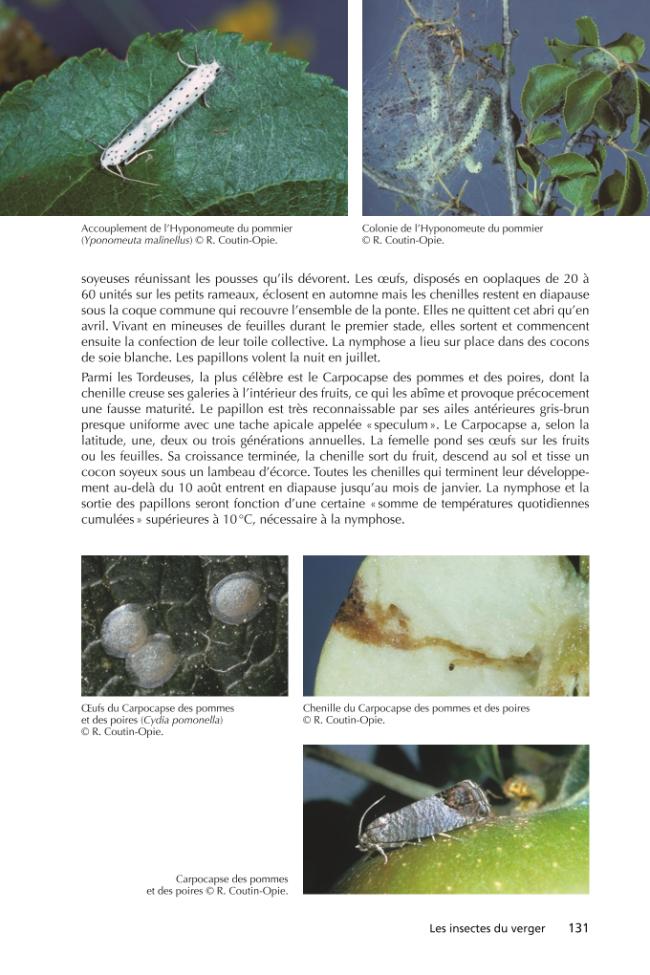Exemple de page