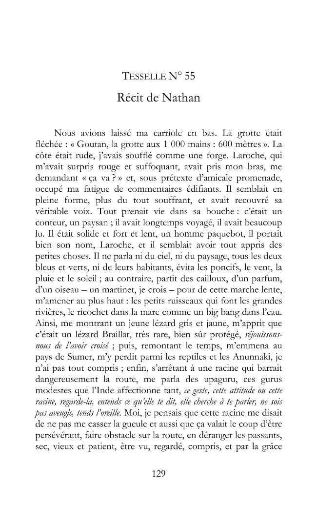 Pagina campione